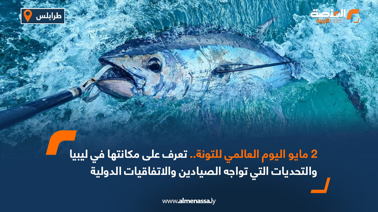 2 مايو اليوم العالمي للتونة.. تعرف على مكانتها في ليبيا والتحديات التي تواجه الصيادين والاتفاقيات الدولية