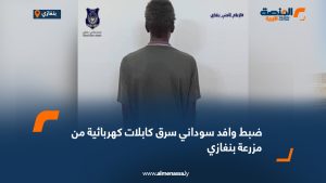 ضبط وافد سوداني سرق كابلات كهربائية من مزرعة بنغازي