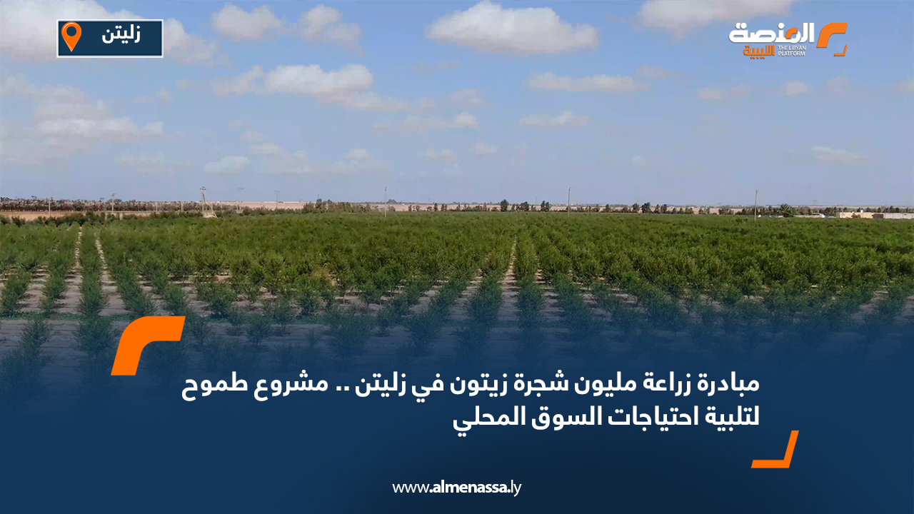مبادرة زراعة مليون شجرة زيتون في زليتن .. مشروع طموح لتلبية احتياجات السوق المحلي