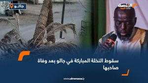 سقوط النخلة المباركة في جالو بعد وفاة صاحبها