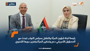 رئيسة لجنة شؤون المرأة والطفل بمجلس النواب تبحث مع المسؤول الأمريكي دعم وتمكين المرأة وتعزيز دورها التنموي