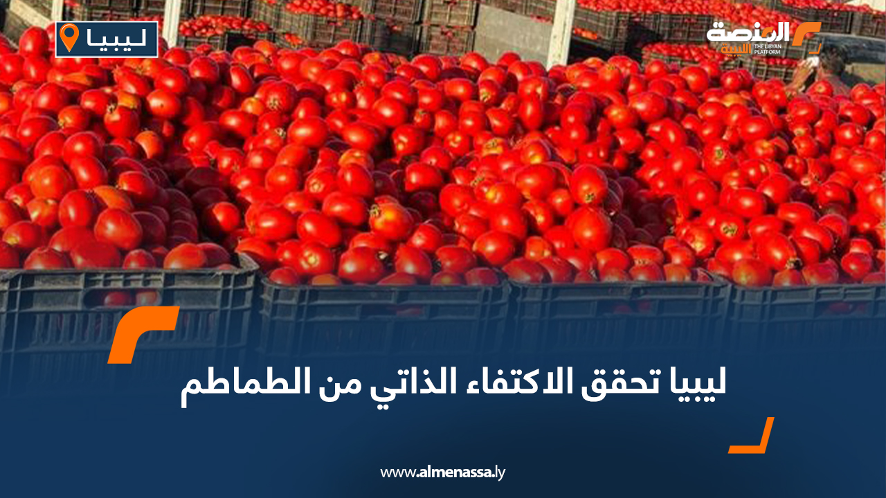 ليبيا تحقق الاكتفاء الذاتي من الطماطم