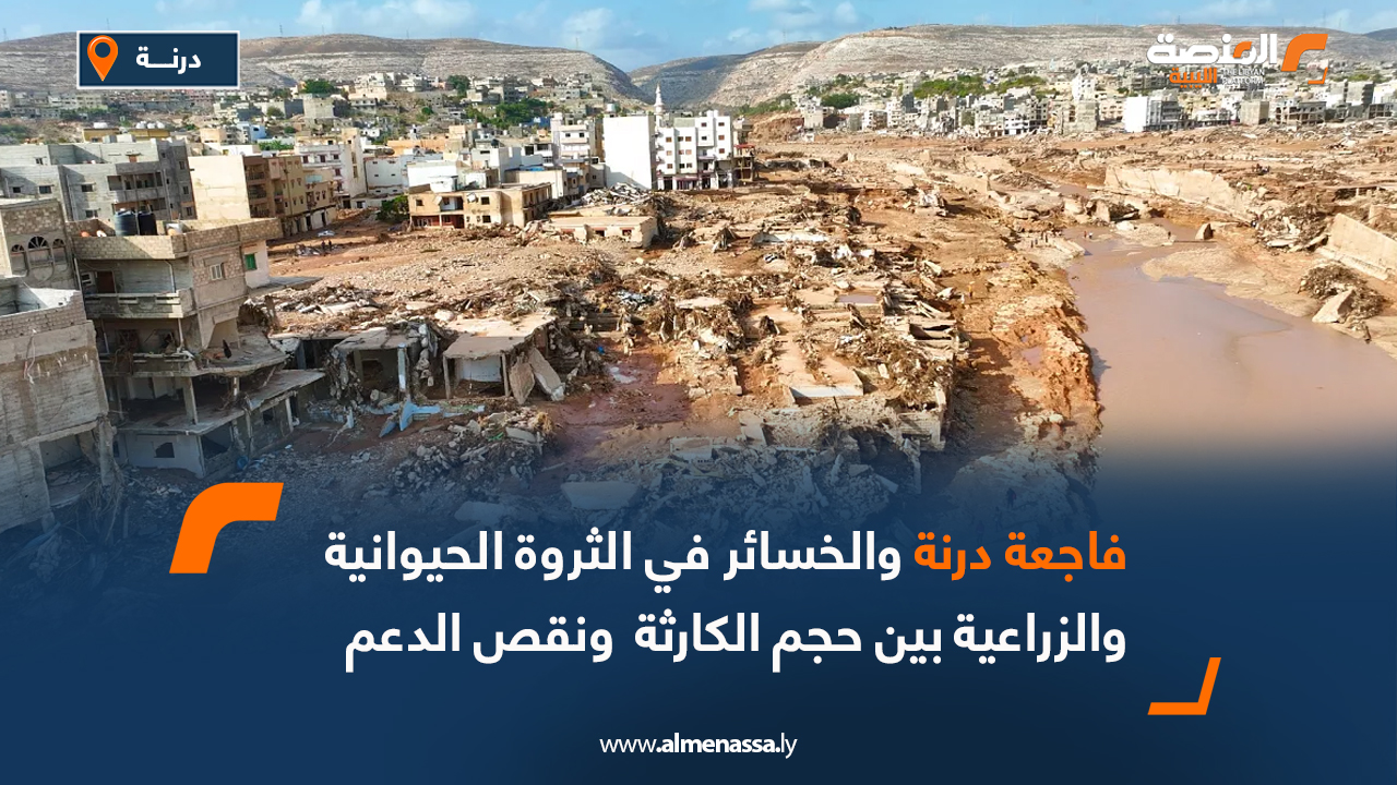 فاجعة درنة والخسائر في الثروة الحيوانية والزراعية بين حجم الكارثة ونقص الدعم