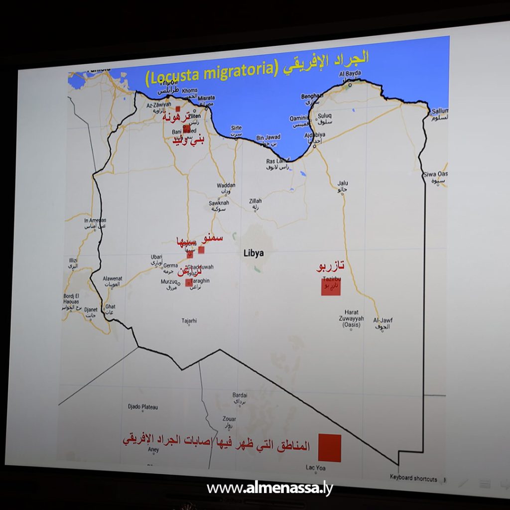 02 33 الديبية يبحث مواجهة تحديات مكافحة الجراد وحماية المحاصيل الزراعية