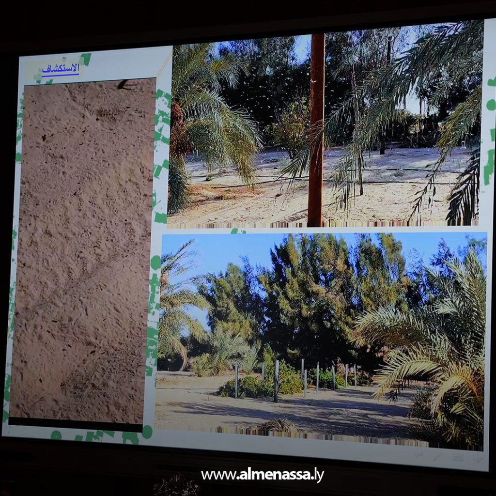 05 12 الديبية يبحث مواجهة تحديات مكافحة الجراد وحماية المحاصيل الزراعية