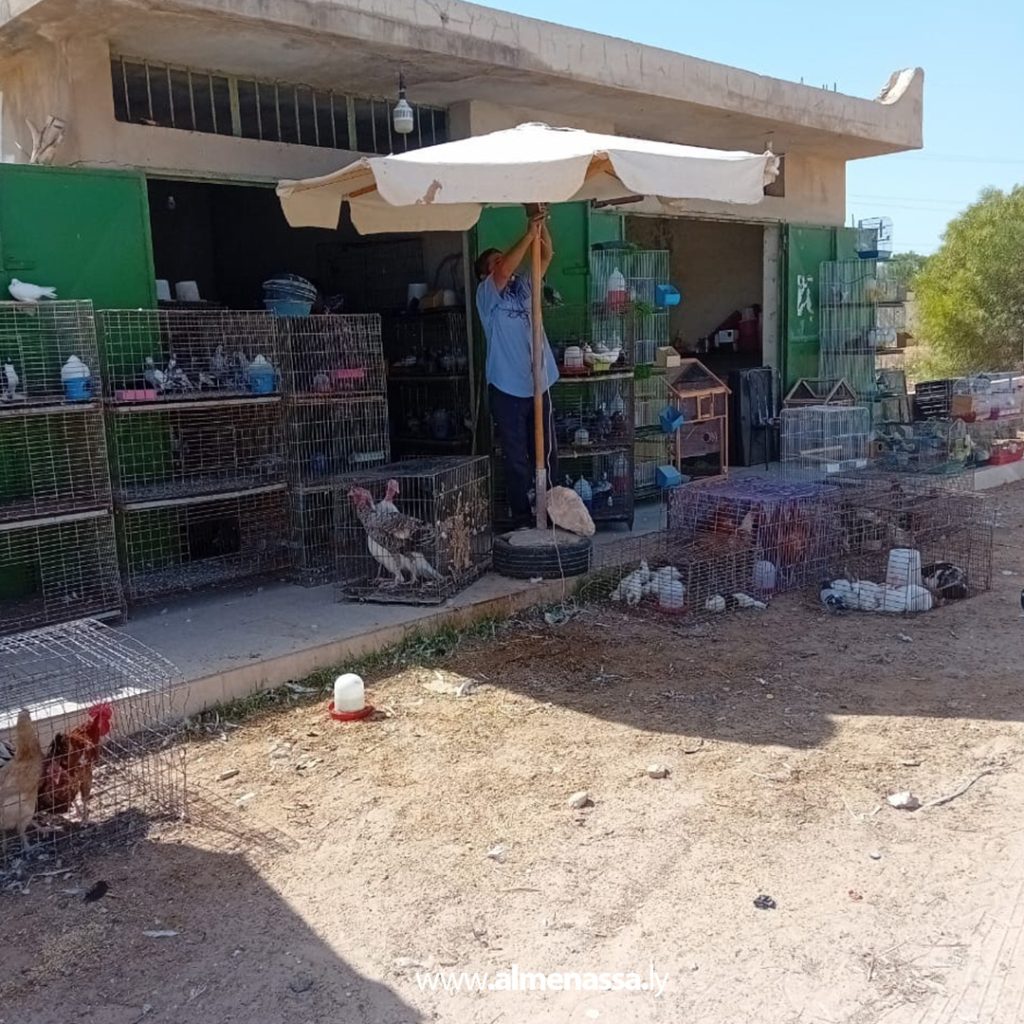 Extra2 146 حملات تفتيشية شاملة من الحرس البلدي في بنغازي لضبط الأنشطة التجارية