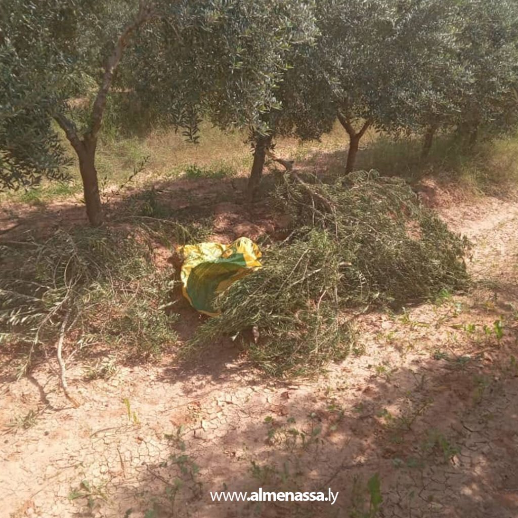 Extra2 183 الشرطة الزراعية تكثف دورياتها لحماية مشروع ترهونة الزراعي