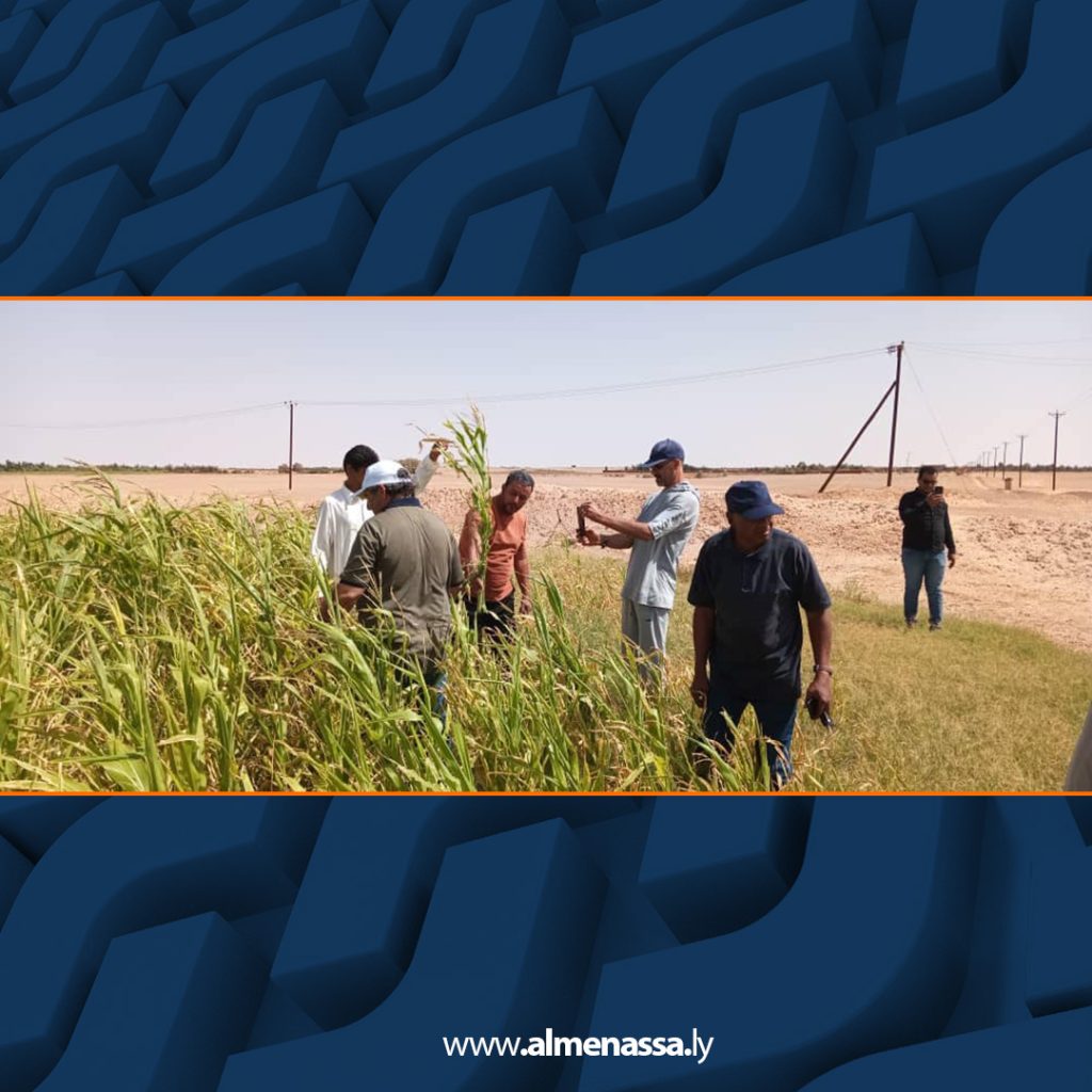 Extra2 184 حملة لمكافحة الجراد الصحراوي ببلدية تراغن