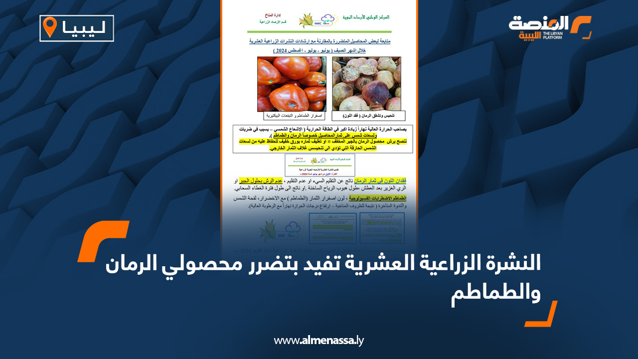 النشرة الزراعية العشرية تفيد بتضرر محصولي الرمان والطماطم