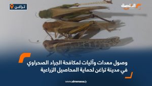 وصول معدات وآليات لمكافحة الجراد الصحراوي في مدينة تراغن لحماية المحاصيل الزراعية