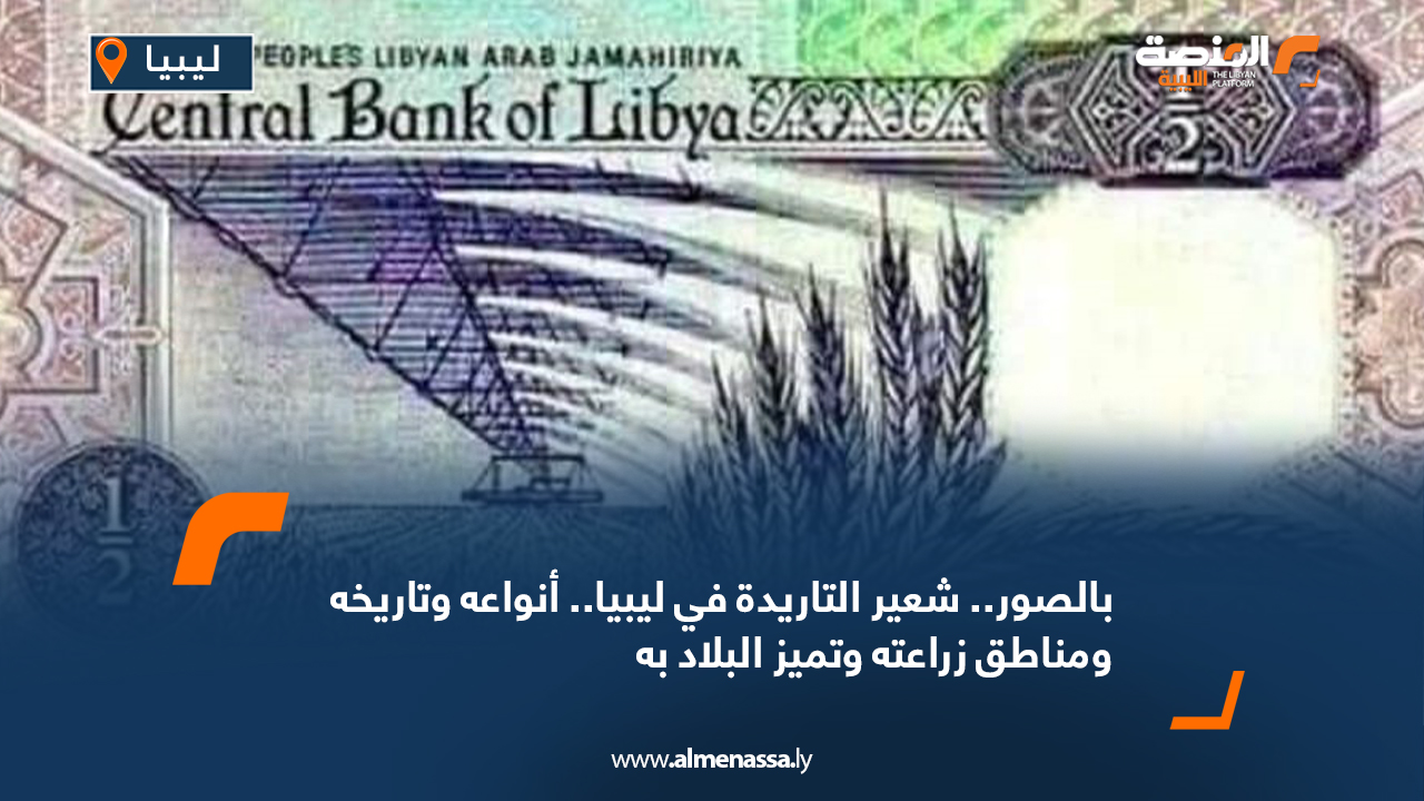 بالصور.. شعير التاريدة في ليبيا.. أنواعه وتاريخه ومناطق زراعته وتميز البلاد به