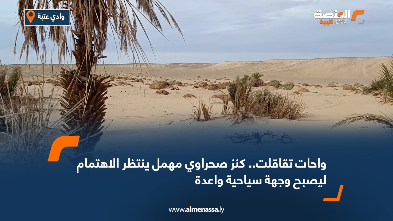واحات تقاقلت.. كنز صحراوي مهمل ينتظر الاهتمام ليصبح وجهة سياحية واعدة