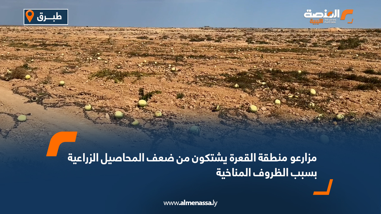 مزارعو منطقة القعرة يشتكون من ضعف المحاصيل الزراعية بسبب الظروف المناخية