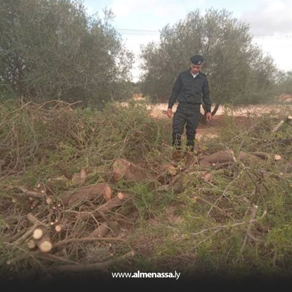 Extra 316 ضبط عمليات قطع أشجار الأثل في ترهونة