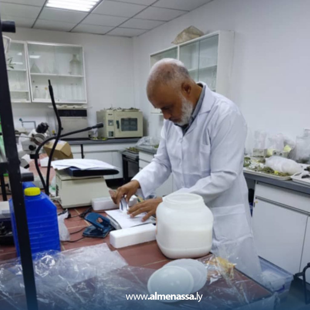 Extra1 65 مركز البحوث الزراعية يطلق دورة تدريبية لتطوير مهارات الباحثين في دراسة أصناف نخيل التمر بليبيا