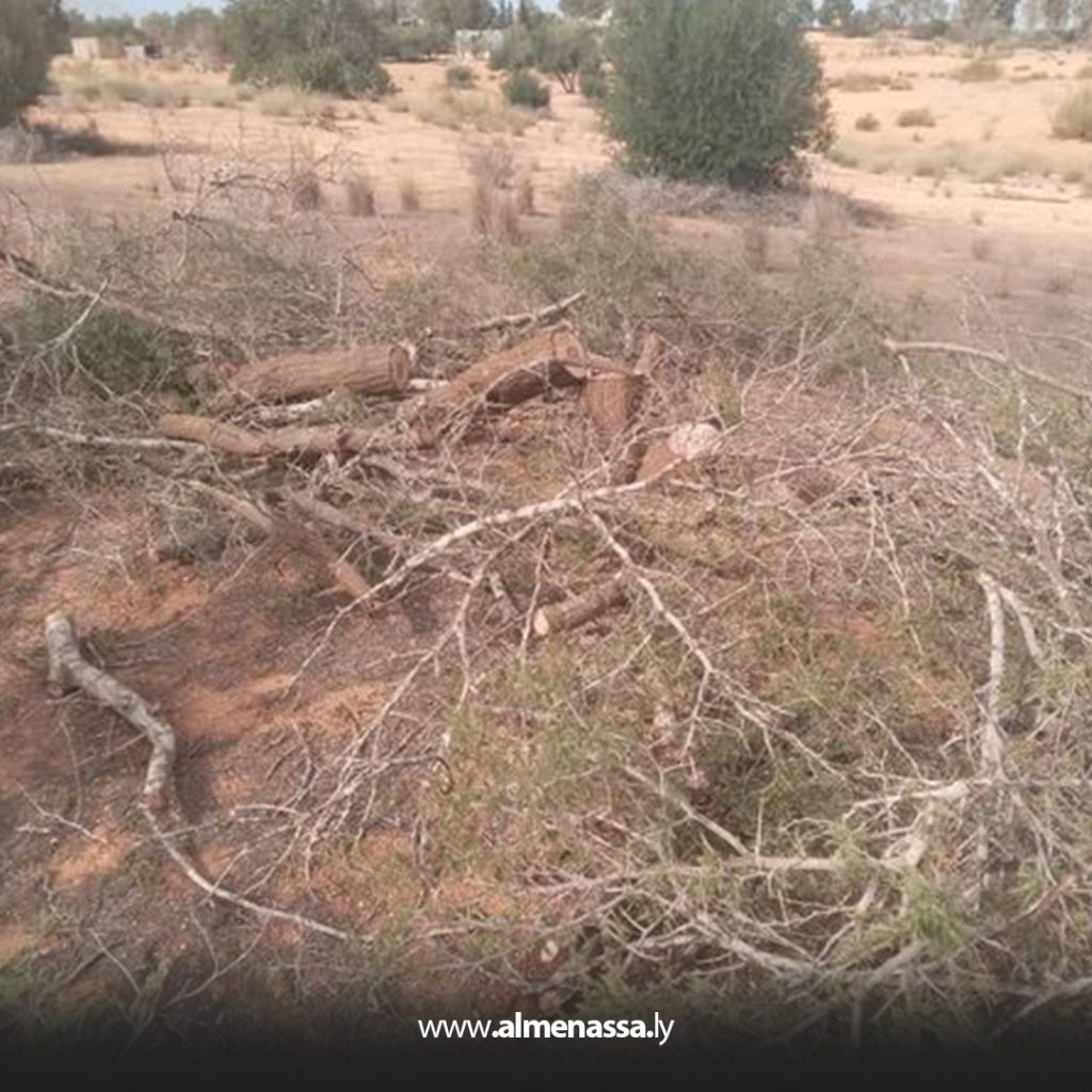 Extra2 311 ضبط عمليات قطع أشجار الأثل في ترهونة