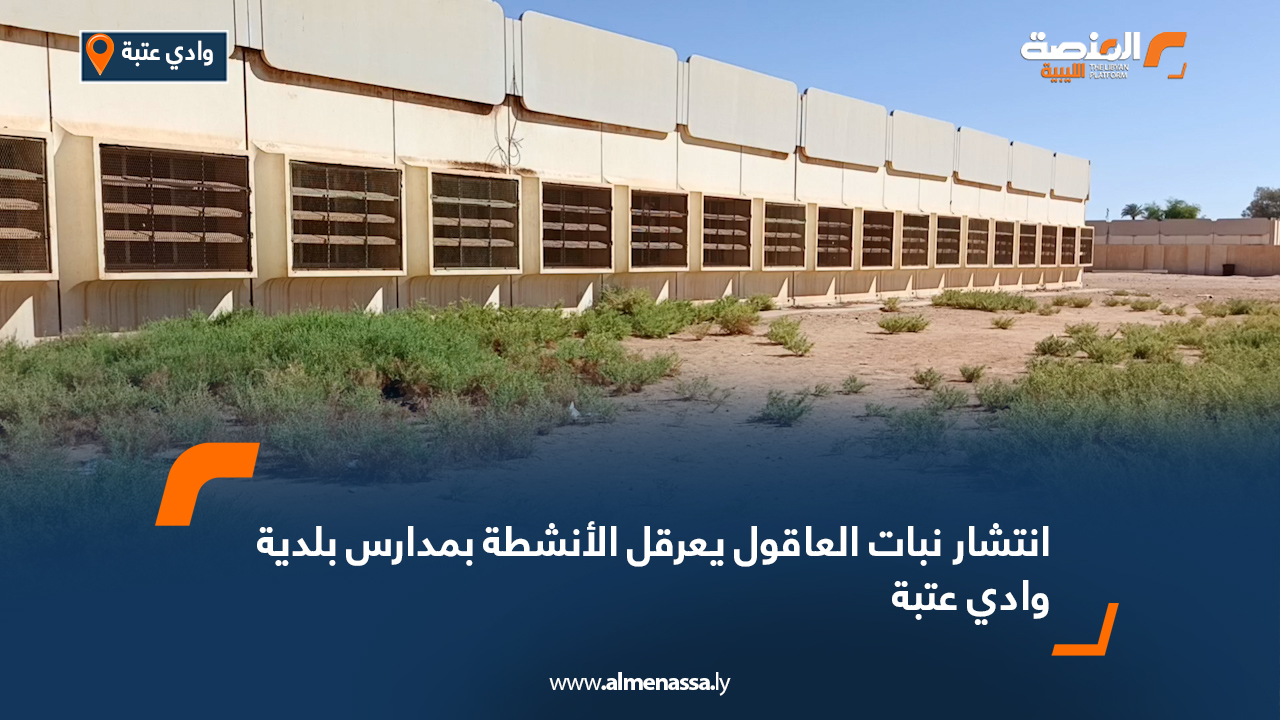 انتشار نبات العاقول يعرقل الأنشطة بمدارس بلدية وادي عتبة