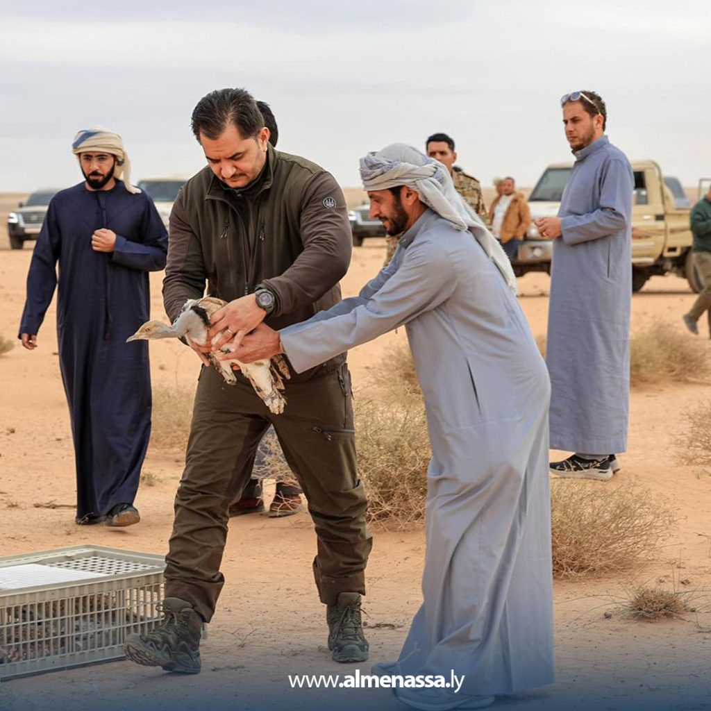 التة 1 رئيس أركان القوات البرية يشرف على إطلاق طائر الحبارى في احدى المحميات الطبيعية