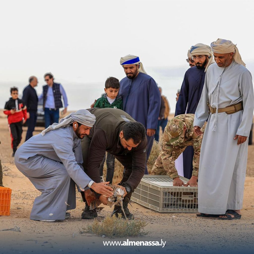 فاى رئيس أركان القوات البرية يشرف على إطلاق طائر الحبارى في احدى المحميات الطبيعية