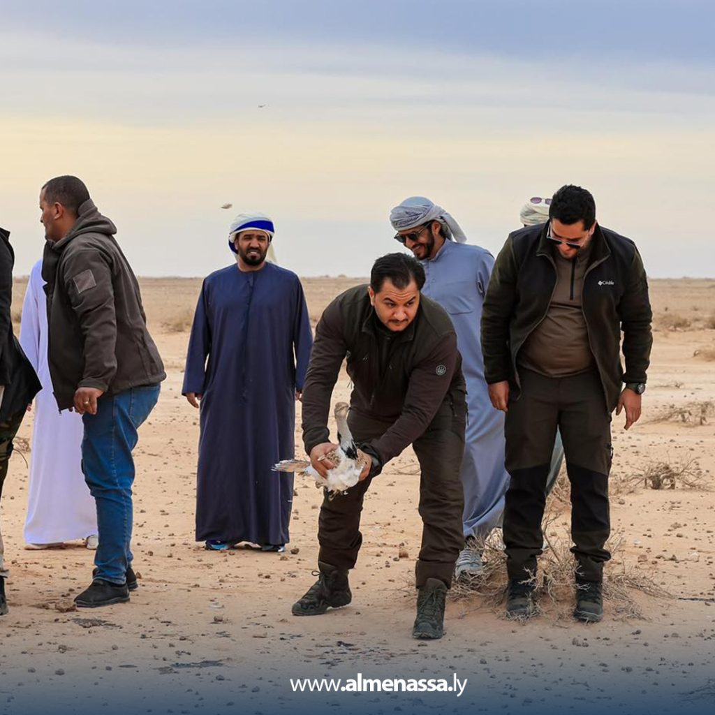 قف 1 رئيس أركان القوات البرية يشرف على إطلاق طائر الحبارى في احدى المحميات الطبيعية