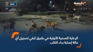 الرعاية الصحية الأولية في طبرق تنفي تسجيل أي حالة إصابة بداء الكلب