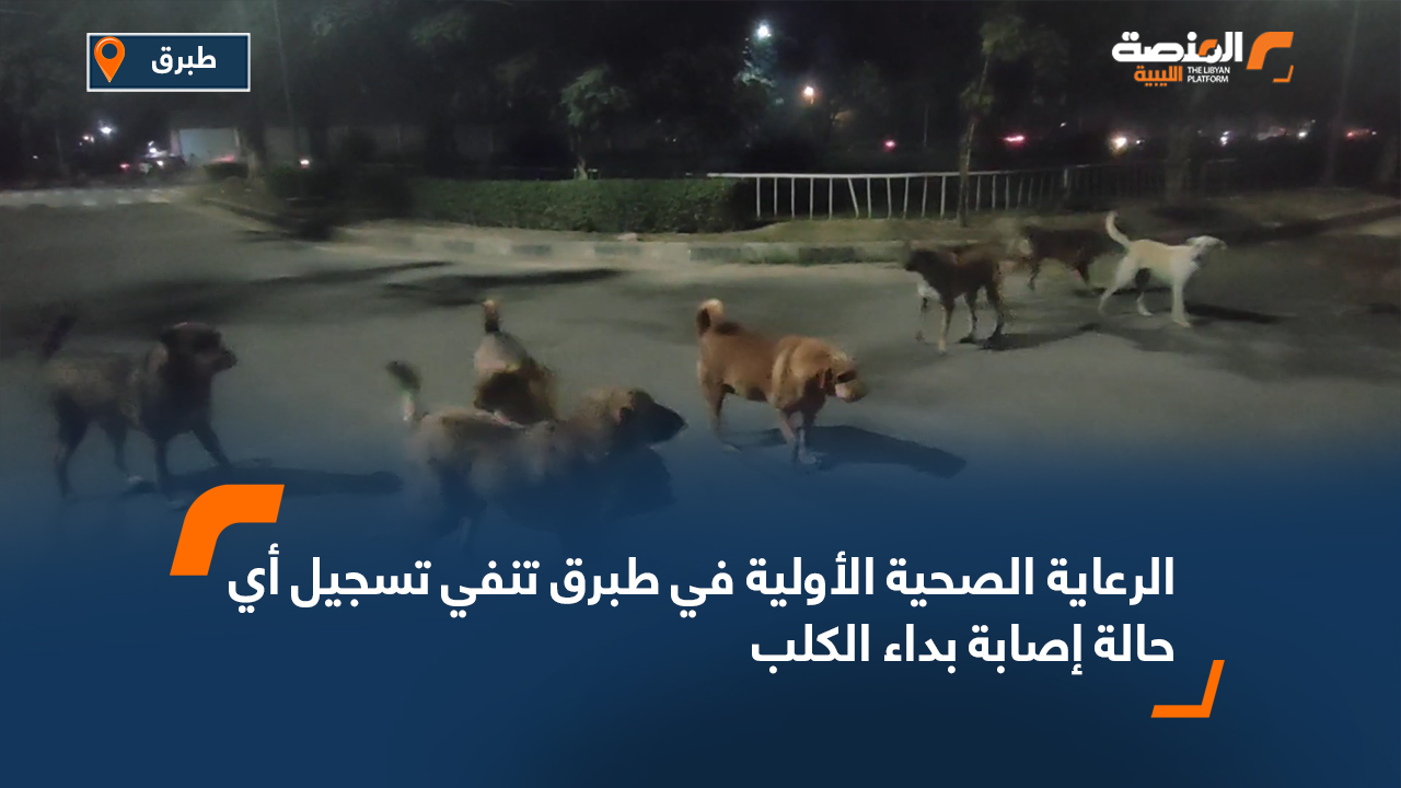 الرعاية الصحية الأولية في طبرق تنفي تسجيل أي حالة إصابة بداء الكلب