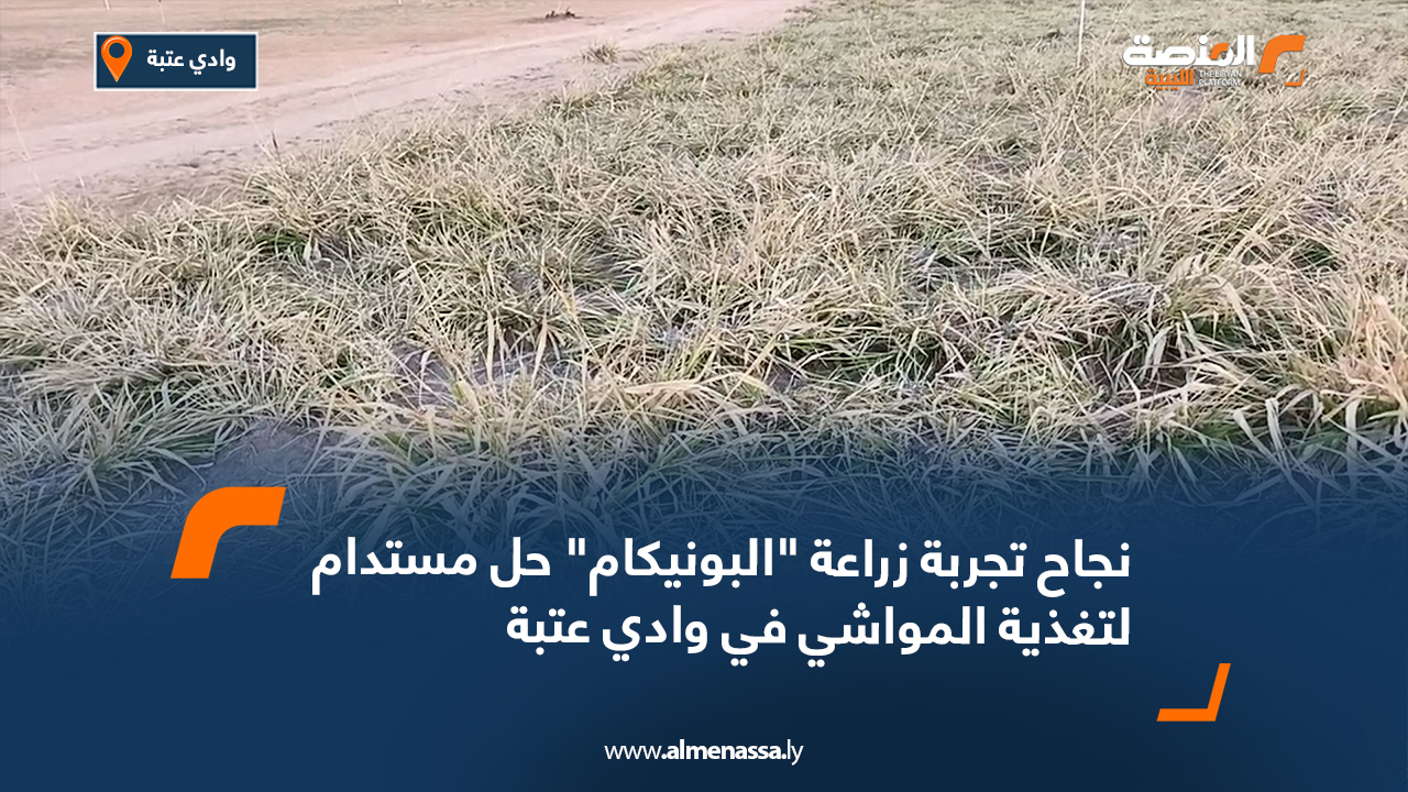 نجاح تجربة زراعة "البونيكام" حل مستدام لتغذية المواشي في وادي عتبة