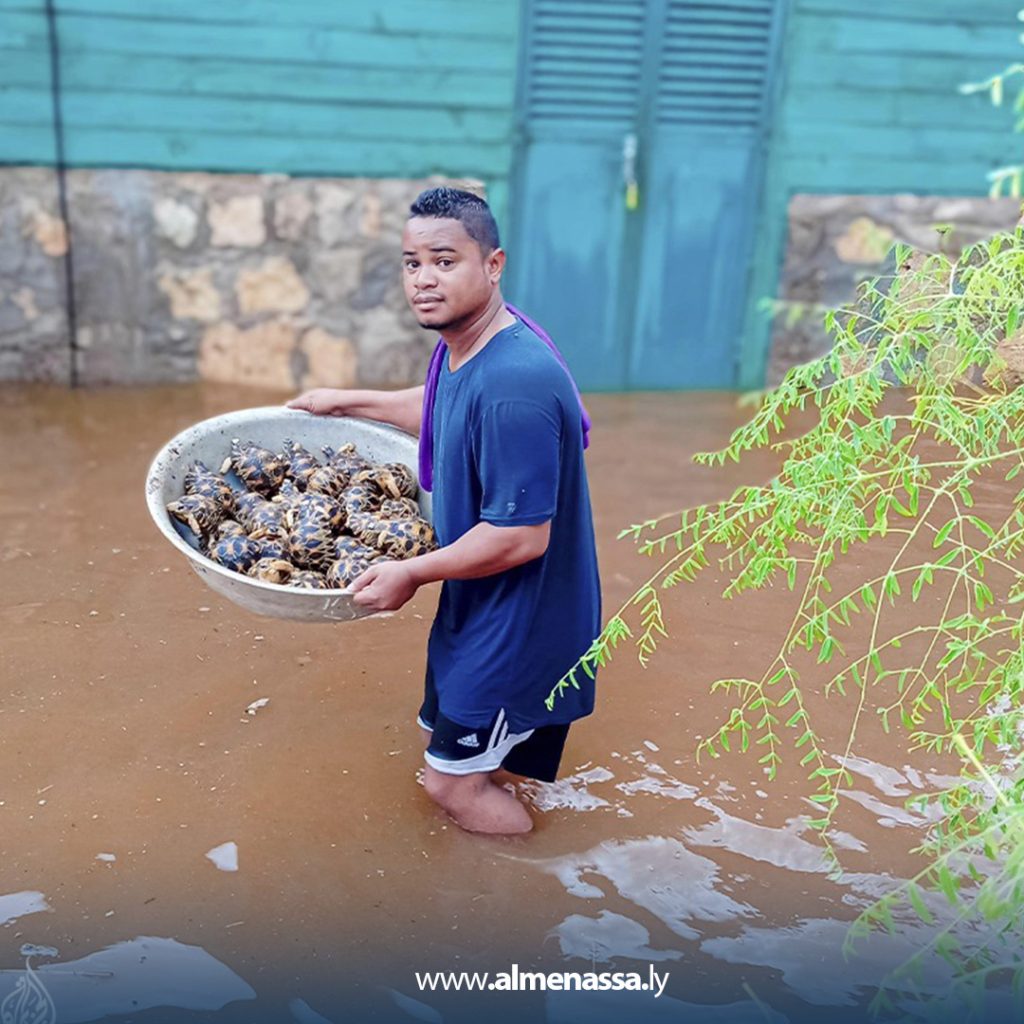 ext2 11 متطوعون ينقذون 10000 سلحفاة مهددة بالانقراض في مدغشقر