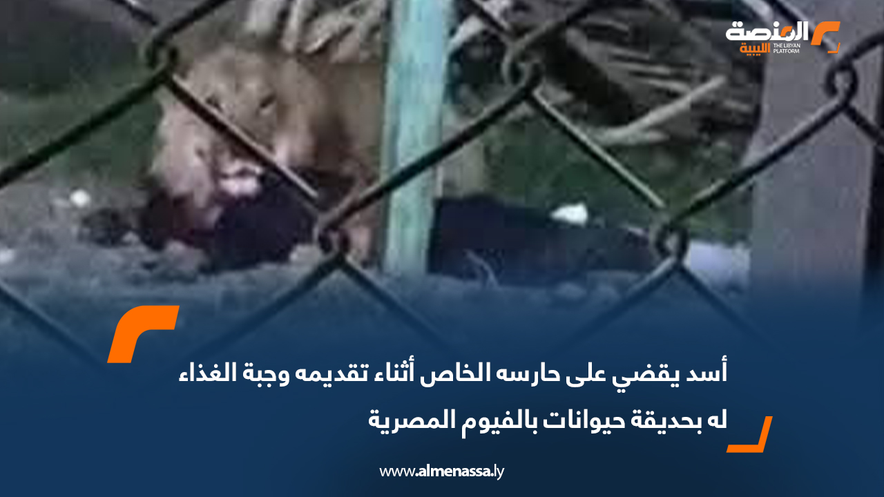 أسد يقضي على حارسه الخاص أثناء تقديمه وجبة الغذاء له بحديقة حيوانات بالفيوم المصرية