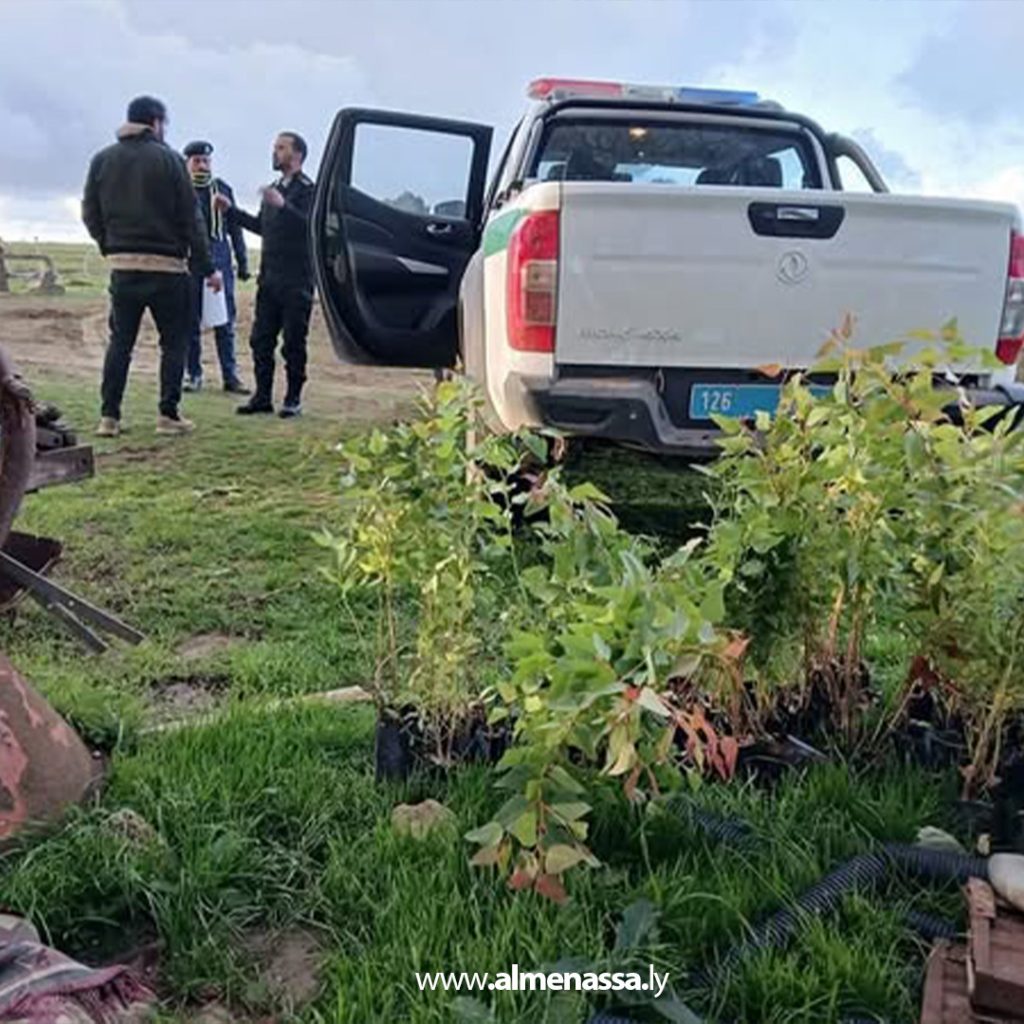 extra 143 منظمة شتلة تواصل توزيع الشتول لتعويض الفاقد من الغطاء النباتي