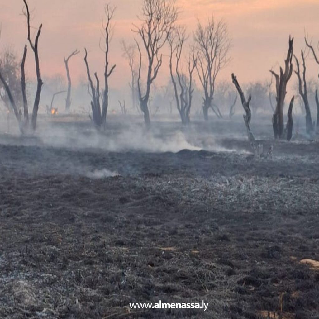 extra2 80 حريق هائل يلتهم مزرعة في الكفرة والجهود مستمرة للسيطرة عليه