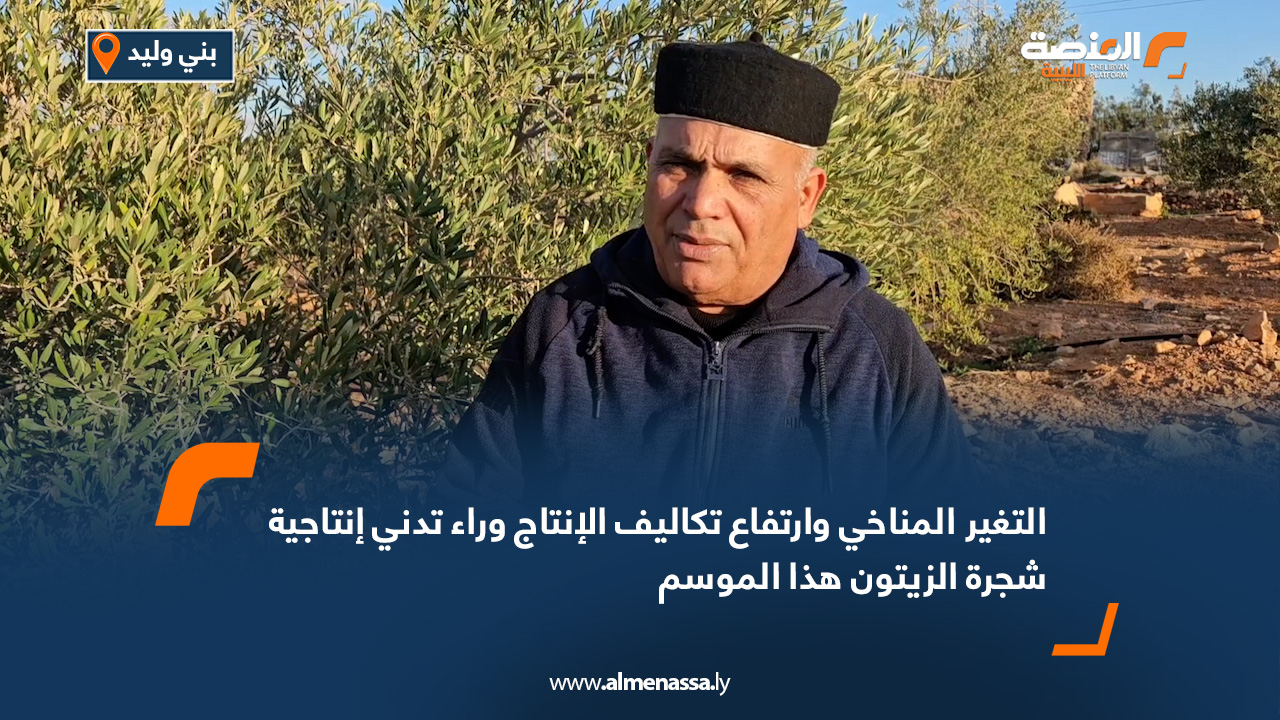 التغير المناخي وارتفاع تكاليف الإنتاج وراء تدني إنتاجية شجرة الزيتون هذا الموسم