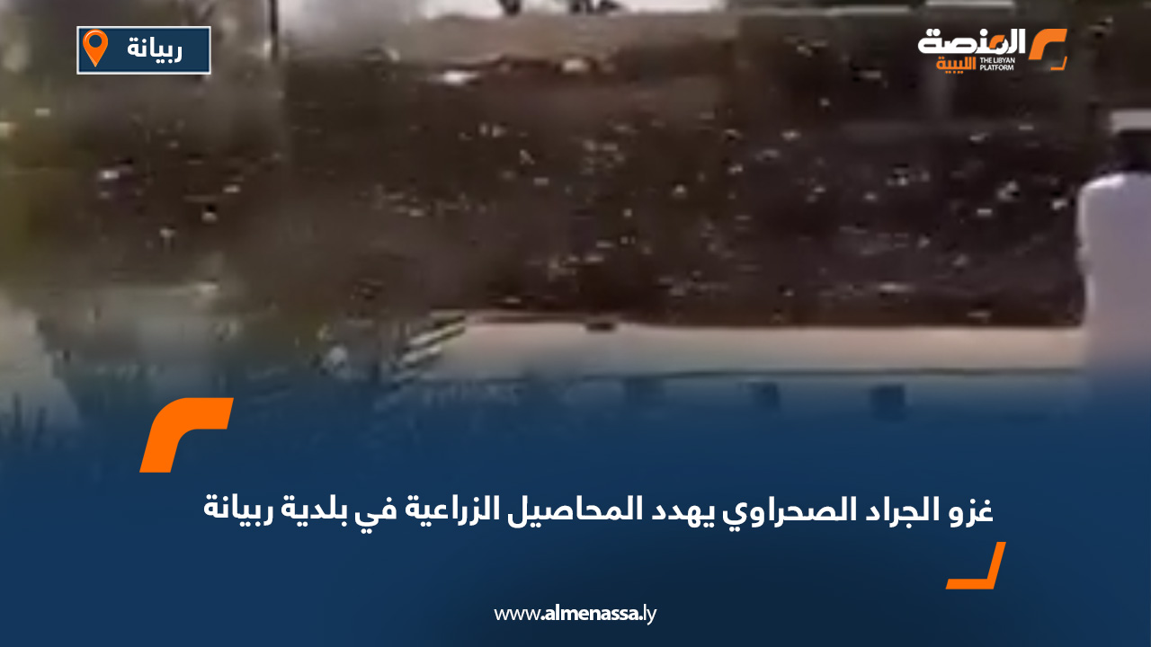 غزو الجراد الصحراوي يهدد المحاصيل الزراعية في بلدية ربيانة