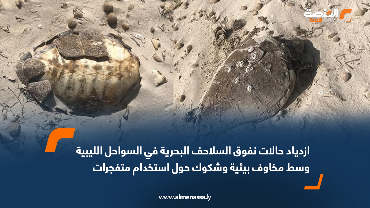 ازدياد حالات نفوق السلاحف البحرية في السواحل الليبية وسط مخاوف بيئية وشكوك حول استخدام متفجرات