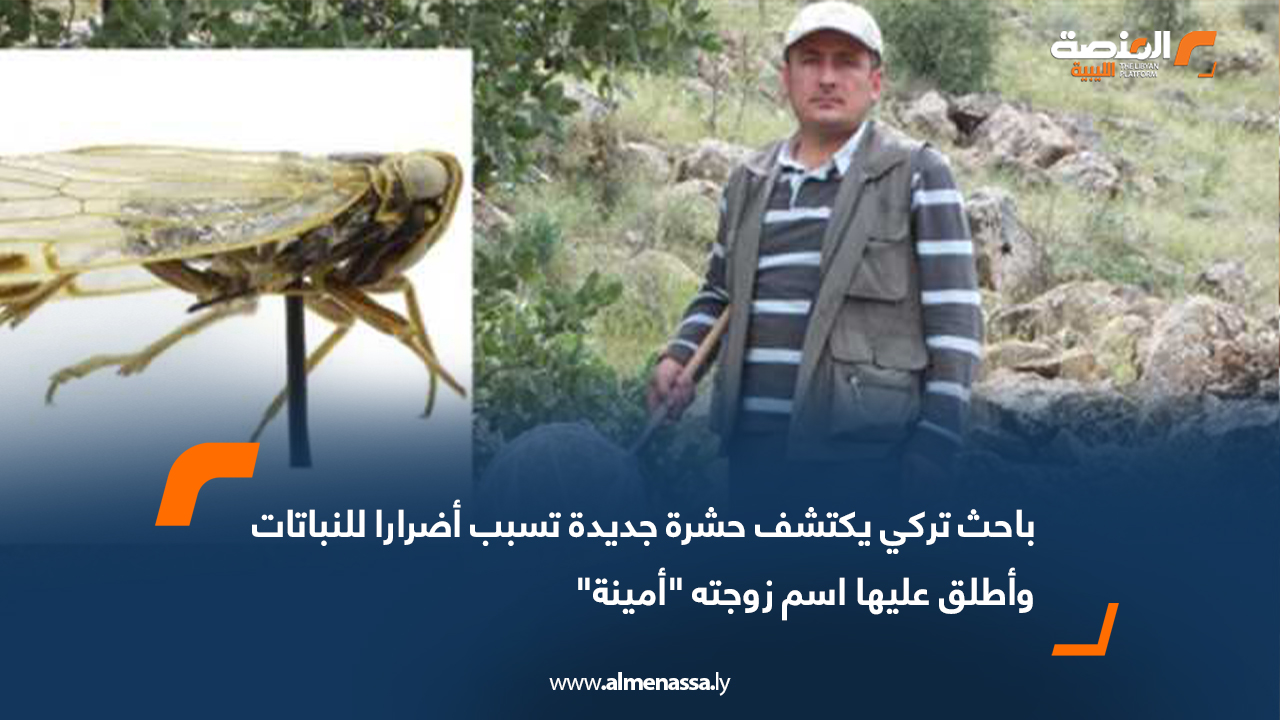 باحث تركي يكتشف حشرة جديدة تسبب أضرارا للنباتات وأطلق عليها اسم زوجته "أمينة"