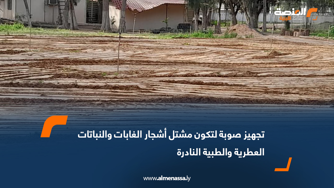 تجهيز صوبة لتكون مشتل أشجار الغابات والنباتات العطرية والطبية النادرة