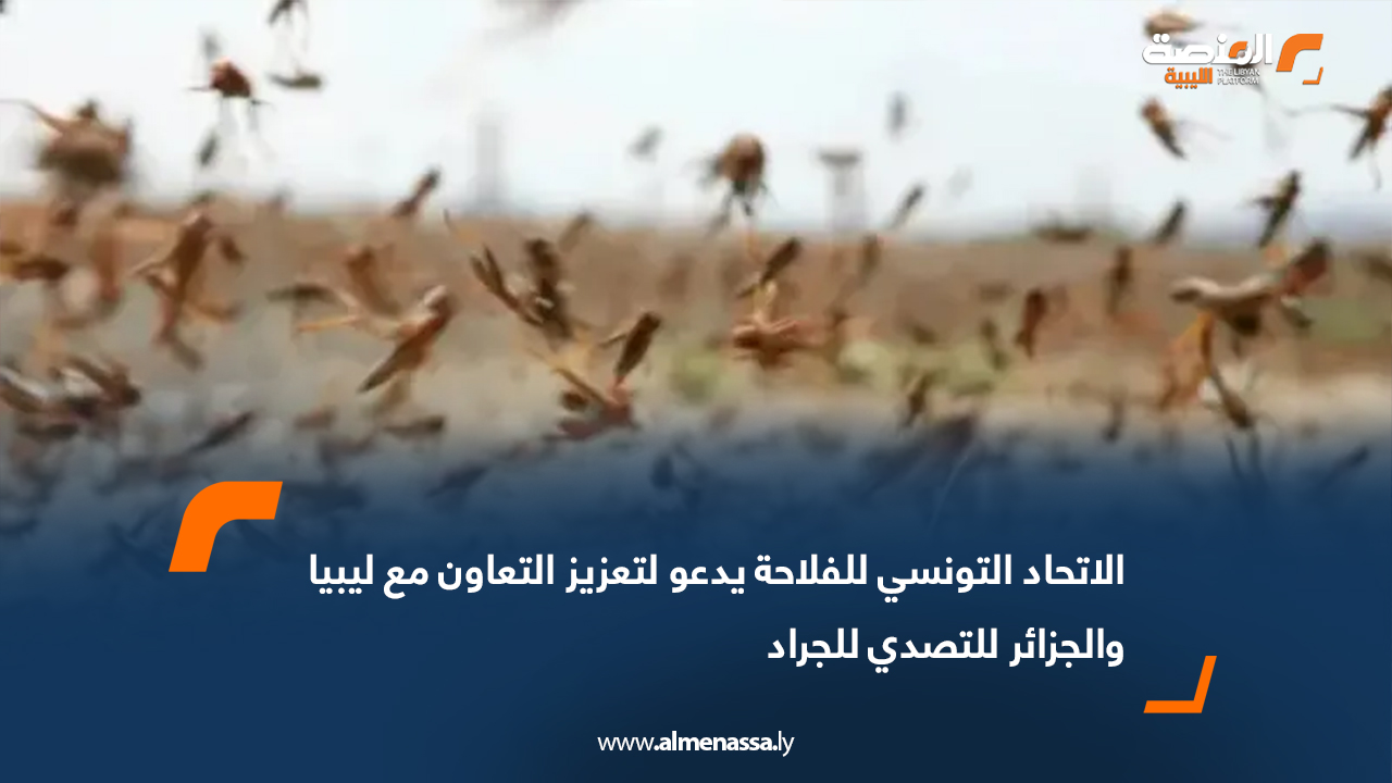 الاتحاد التونسي للفلاحة يدعو لتعزيز التعاون مع ليبيا والجزائر للتصدي للجراد