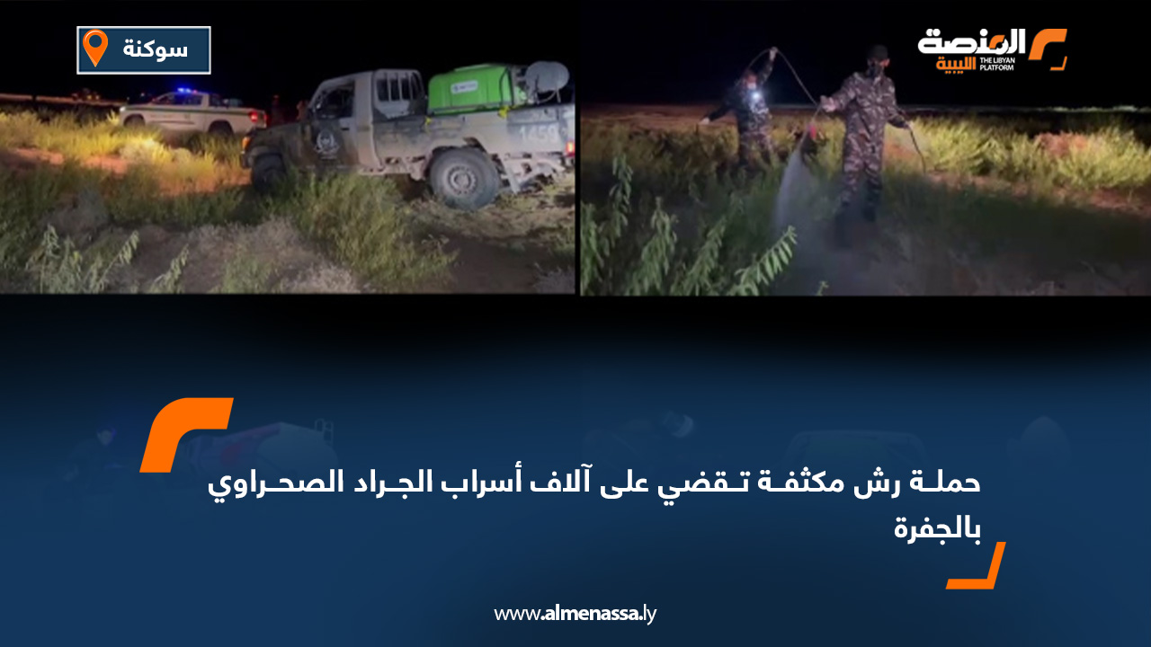 حملة رش مكثفة تقضي على آلاف أسراب الجراد الصحراوي بالجفرة