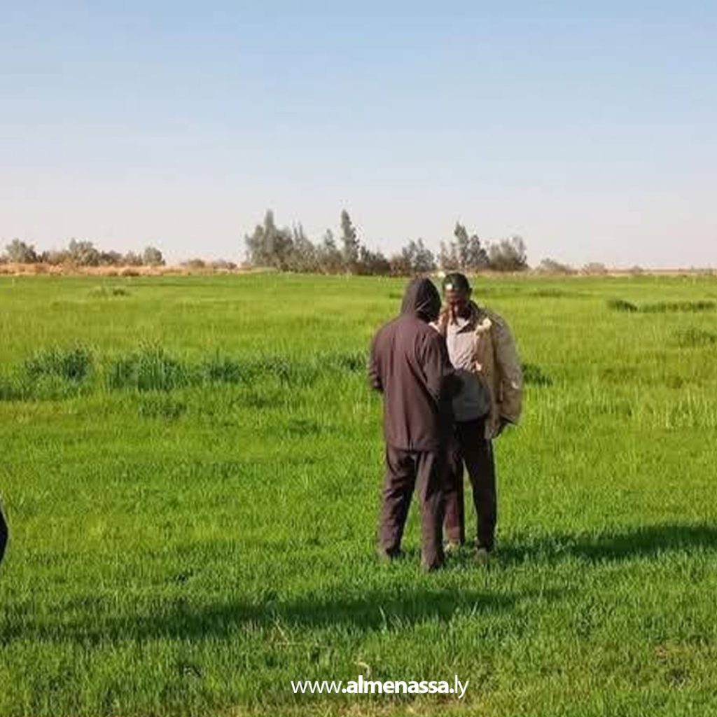 extra 32 وزارة الزراعة تواصل أعمال مكافحة الجراد الصحراوي