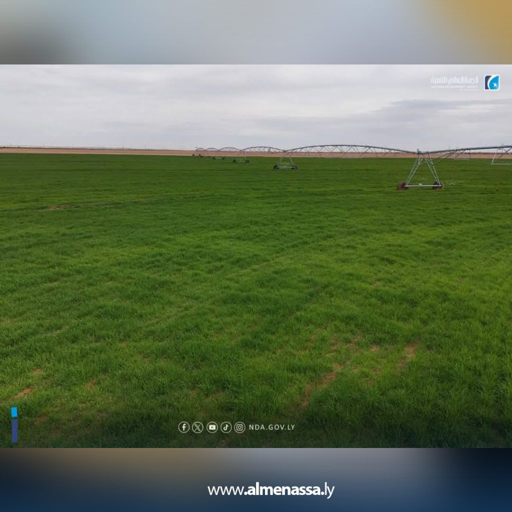 يللا الجهاز الوطني للتنمية يستلم خمسة مشاريع زراعية جديدة لدعم الأمن الغذائي في ليبيا