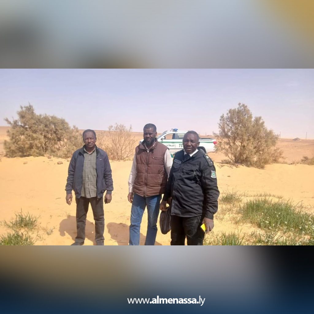 يلى 1 دراسة: الجراد الصحراوي يهدد المزارع في الجنوب الليبي ويسبب خسائر اقتصادية كبيرة