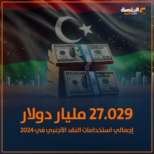27.029 مليار دولار ..إجمالي استخدامات النقد الأجنبي في 2024