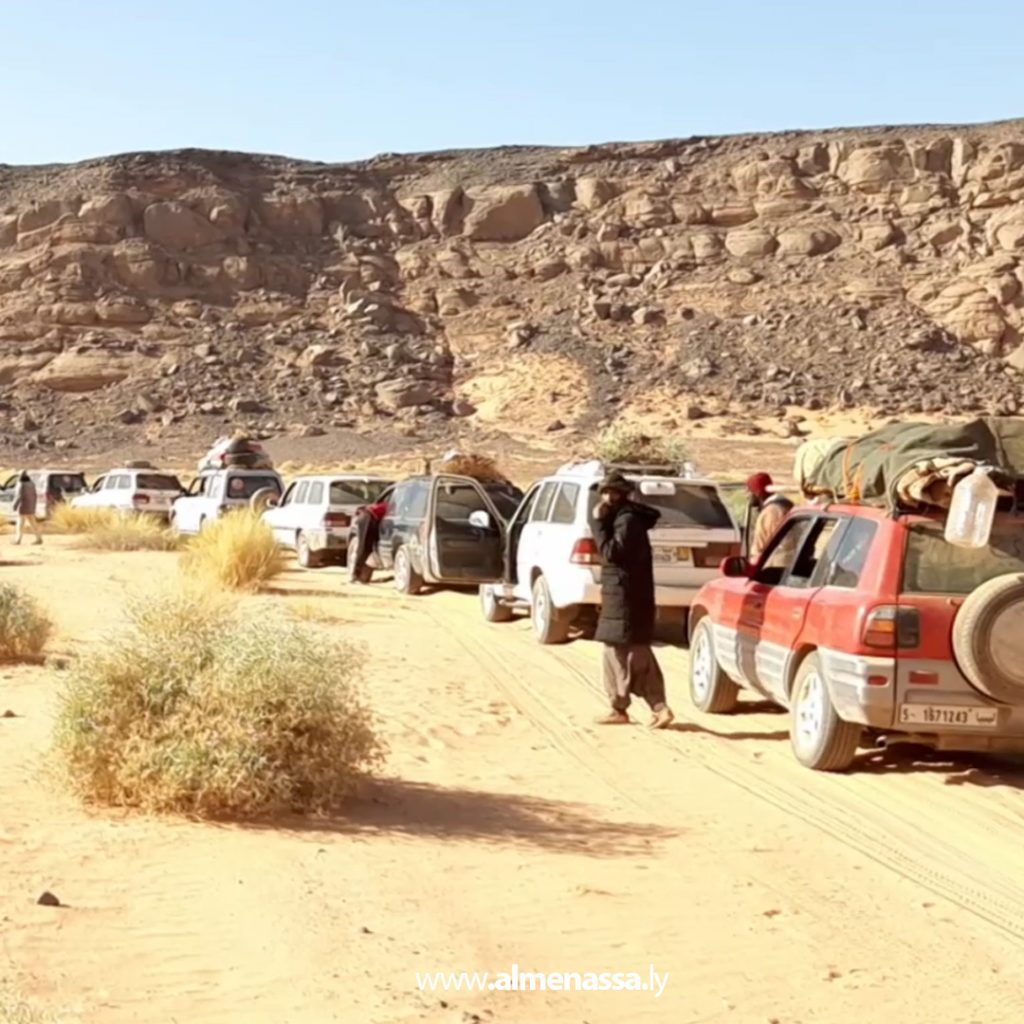 06 20 Wadi Atba's green gold: Wormwood, a desert plant with therapeutic and environmental benefits
