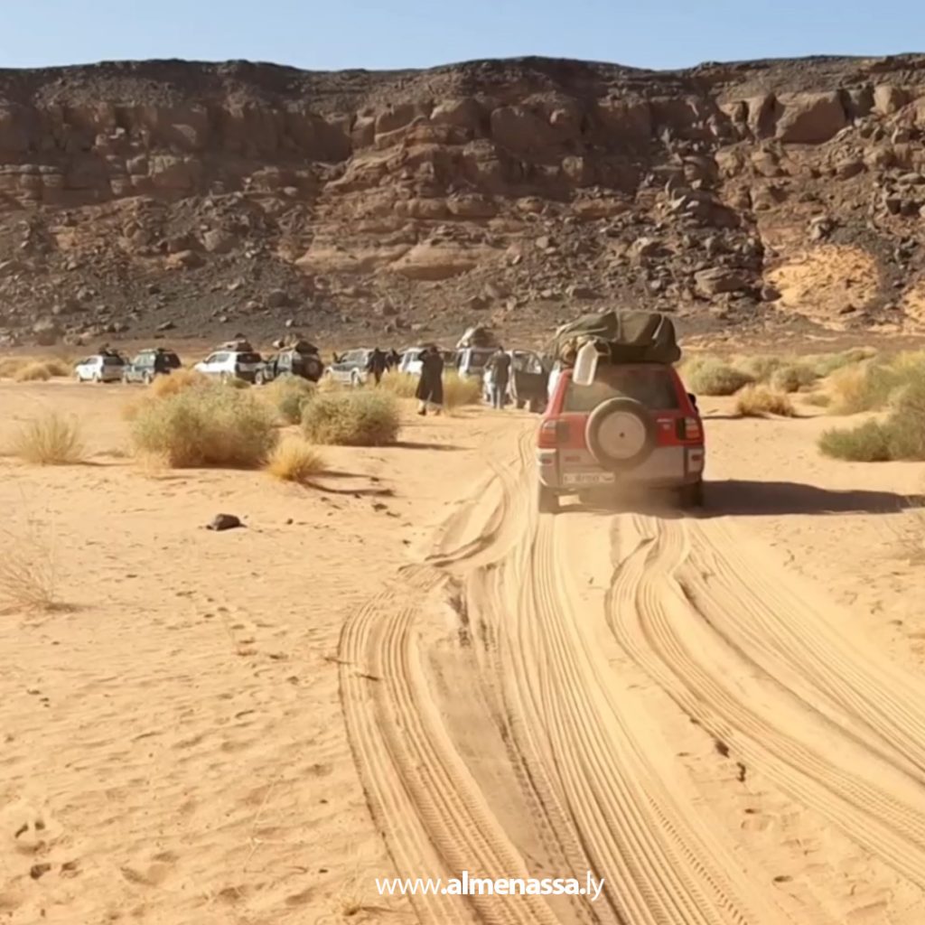 07 9 Wadi Atba's green gold: Wormwood, a desert plant with therapeutic and environmental benefits