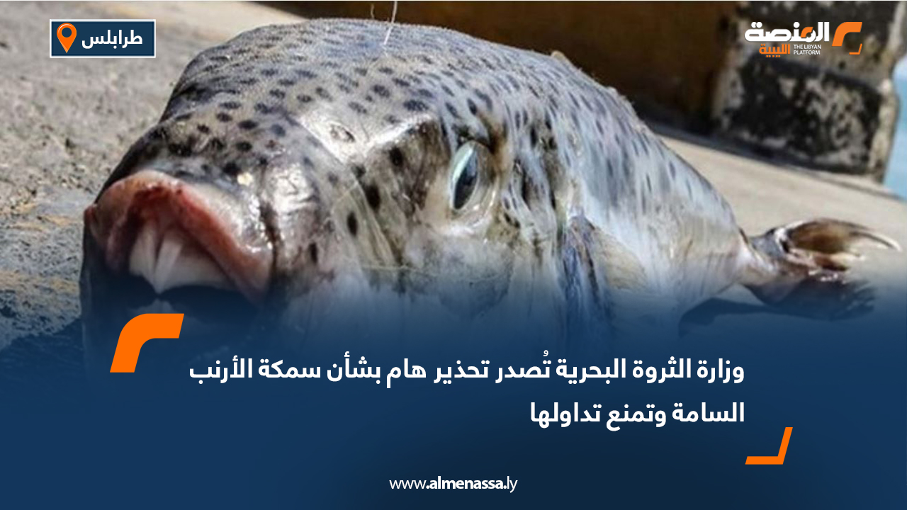 وزارة الثروة البحرية تُصدر تحذير هام بشأن سمكة الأرنب السامة وتمنع تداولها