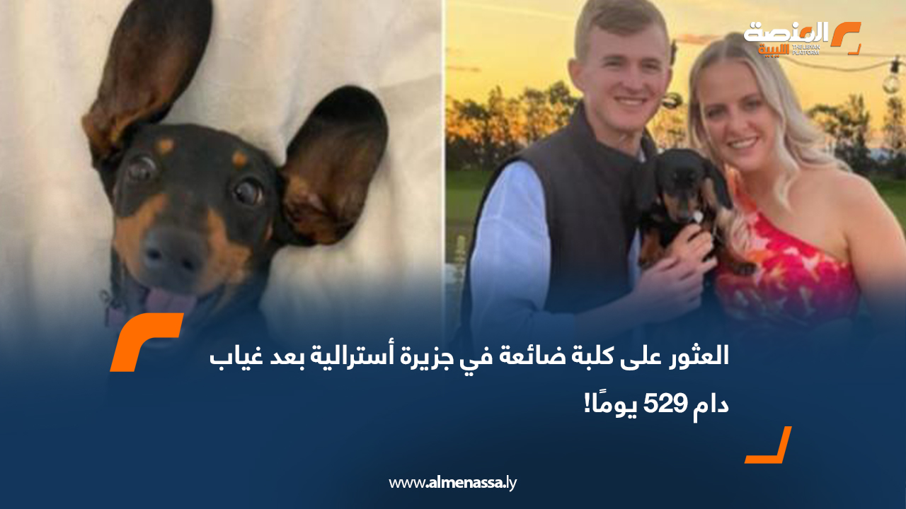 العثور على كلبة ضائعة في جزيرة أسترالية بعد غياب دام 529 يومًا!