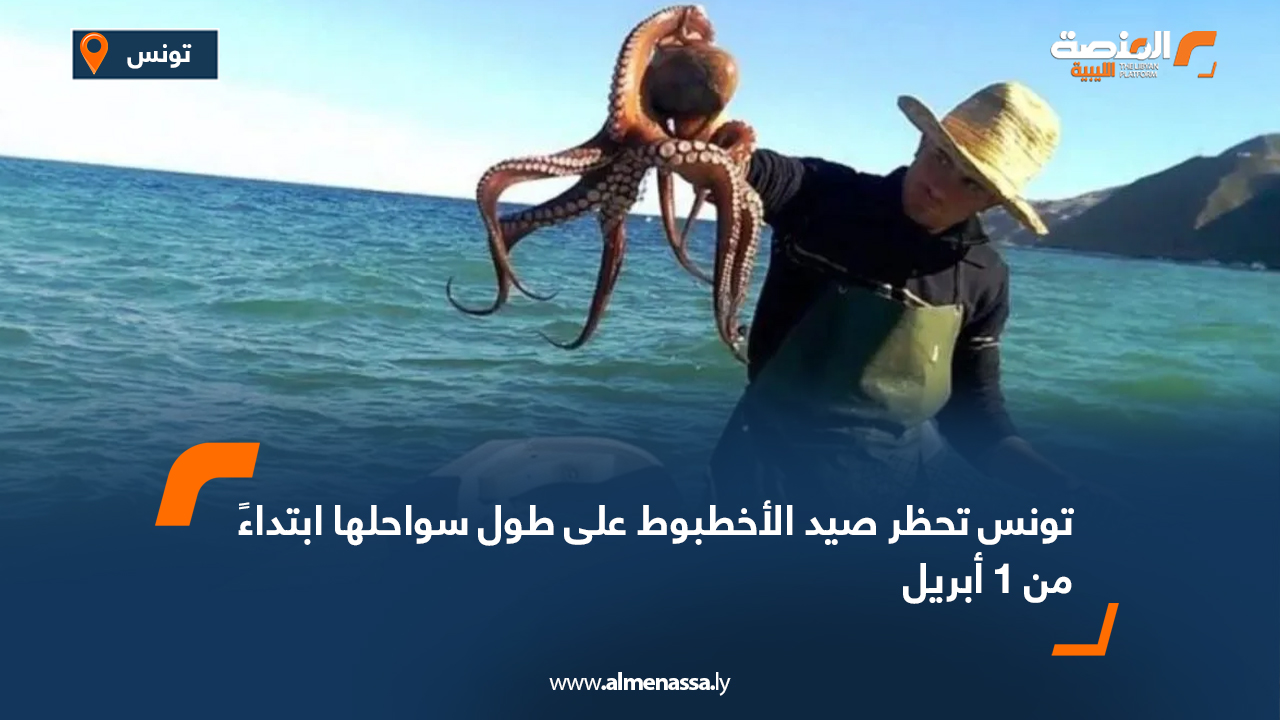 تونس تحظر صيد الأخطبوط على طول ساحلها ابتداءا من 1 أبريل