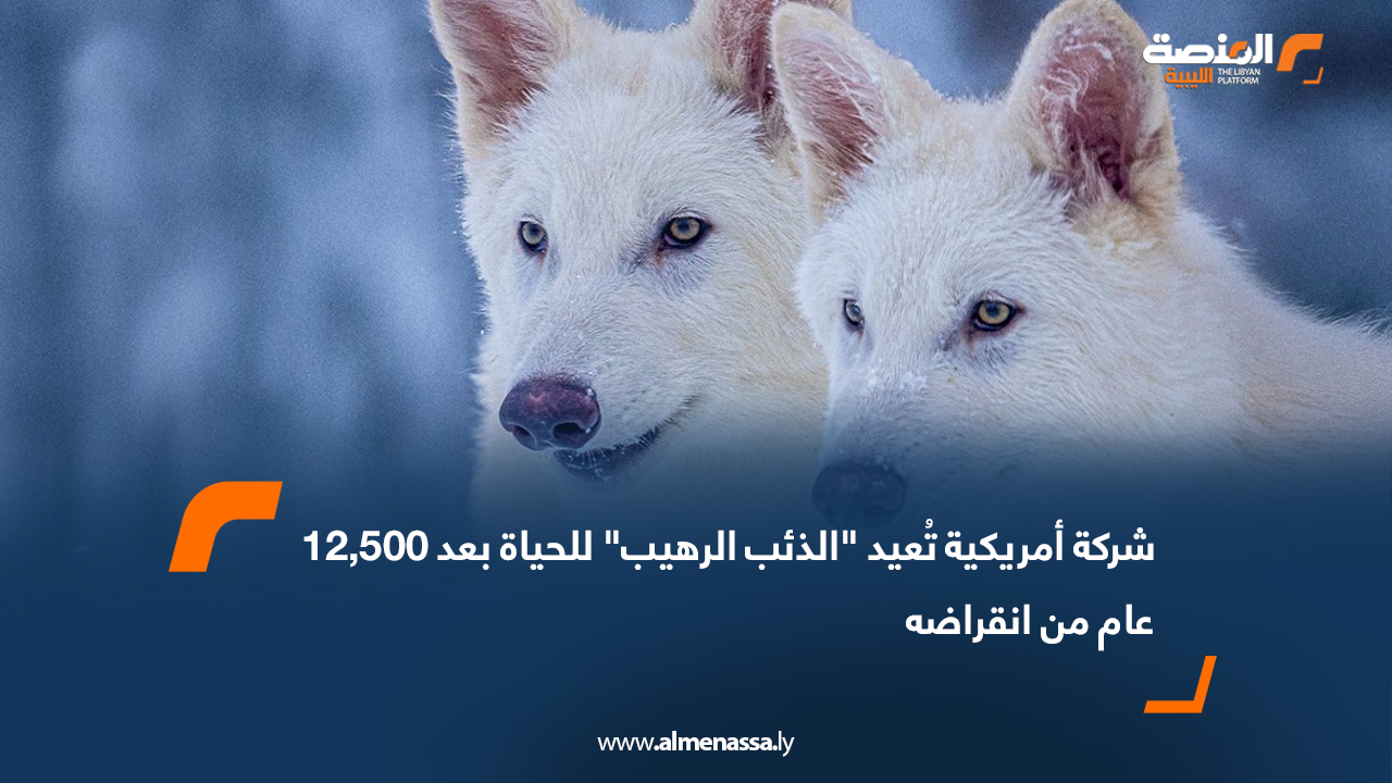 شركة أمريكية تُعيد "الذئب الرهيب" للحياة بعد 12,500 عام من انقراضه