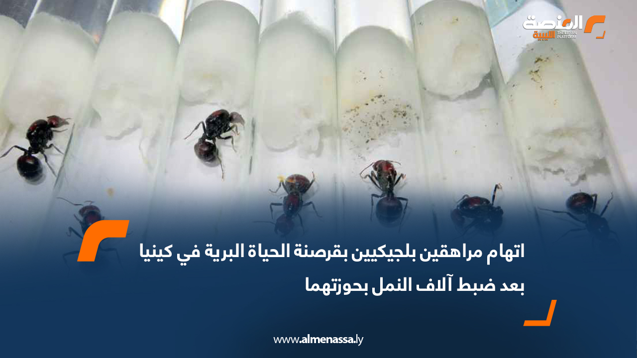 اتهام مراهقين بلجيكيين بقرصنة الحياة البرية في كينيا بعد ضبط آلاف النمل بحوزتهما