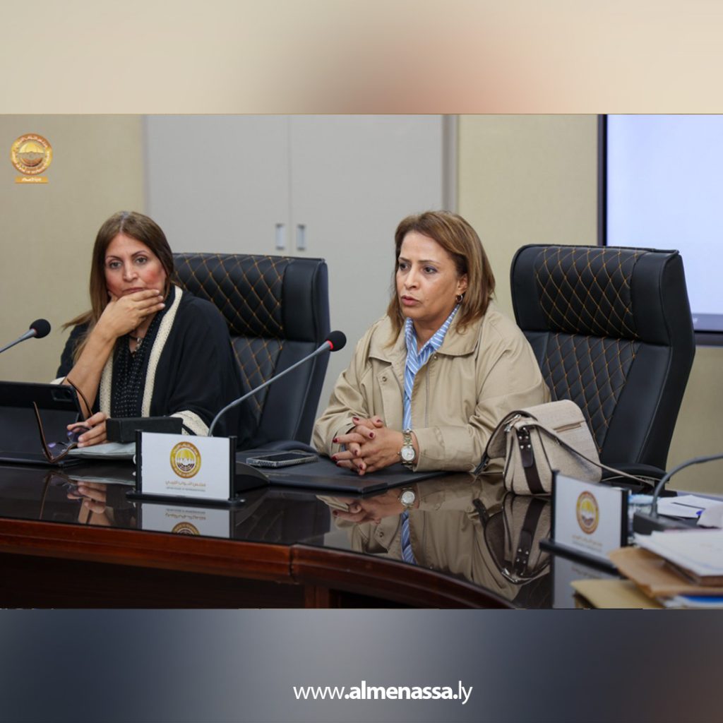 باة 3 رئيس ديوان مجلس النواب يبحث مع "IDEA" مخرجات مشروع التعاون وهيكلة الأداء المؤسسي